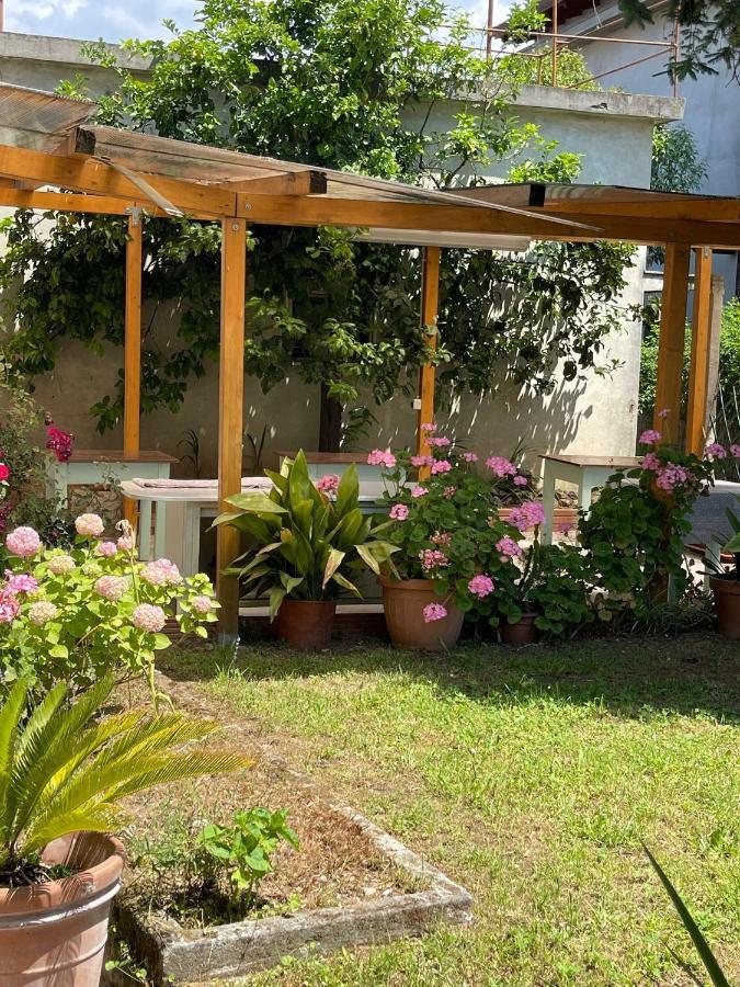 Casa Violetta Bed & Breakfast Marina di Massa Exteriör bild